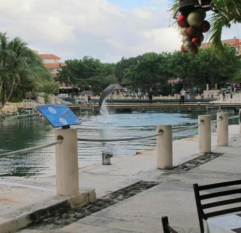 Appartamento Puerto Aventuras, Departamento A Unos Pasos De La Playa Esterno foto