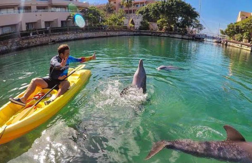 Appartamento Puerto Aventuras, Departamento A Unos Pasos De La Playa Esterno foto
